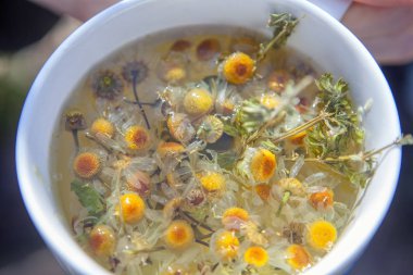 fincan papatya kaynatılması