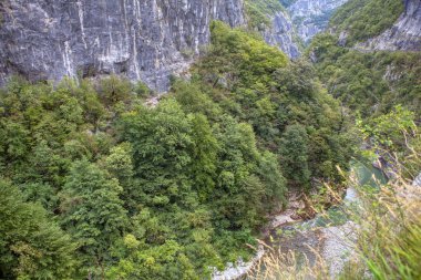 kanyon ve Tara nehir havadan görünümü 