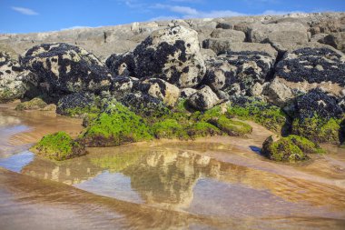 kayalar ile atlantik kumlu plaj 