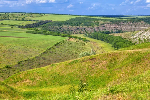 Природний Красивий Пейзаж Зеленими Полями — стокове фото