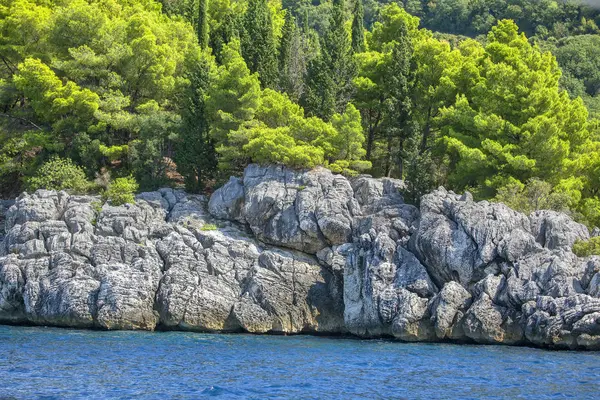 Tropical Littoral Rocky Coast Green Nature — Stock Photo, Image