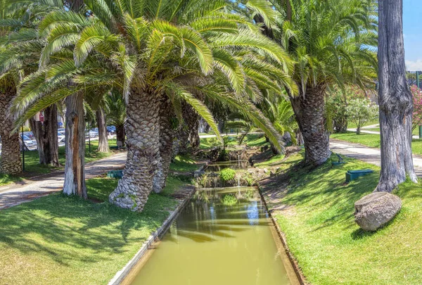 Canal Agua Verde Parque Tropical Con Palmeras — Foto de Stock