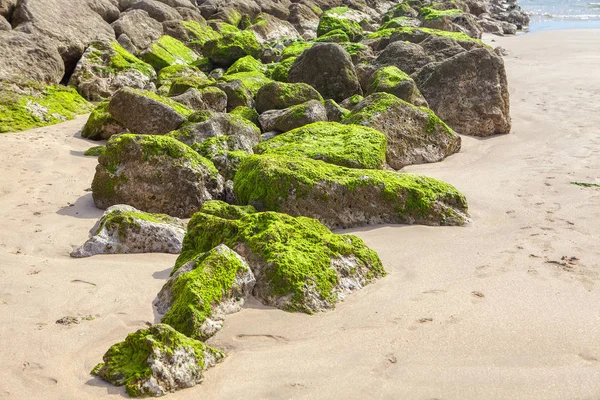 Φυσικούς Βράχους Που Καλύπτονται Από Βρύα Στην Ακτή Του Ωκεανού — Φωτογραφία Αρχείου
