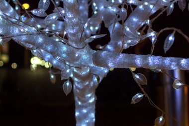 sokakta Noel ışıkları ile süslenmiş ağaç