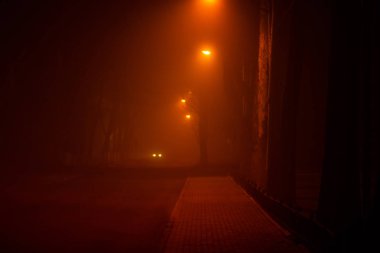 Sokak ışıkları ile aydınlatılmış şehirde sisli sisli gece
