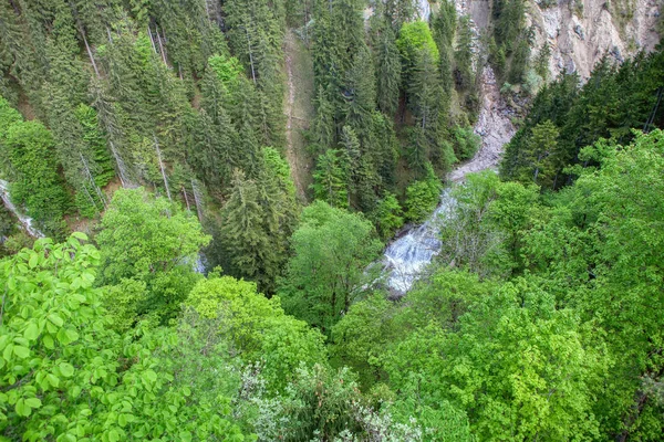 Mountain River Aerial View Green Tree Tops — Stock Photo, Image