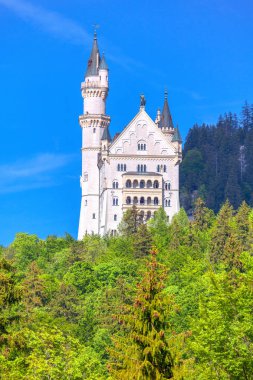 dağlarda Neuschwanstein Kalesi görünümü 