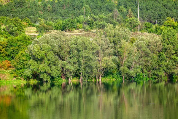 Zielona Natura Odbicie Wodzie Jeziora — Zdjęcie stockowe