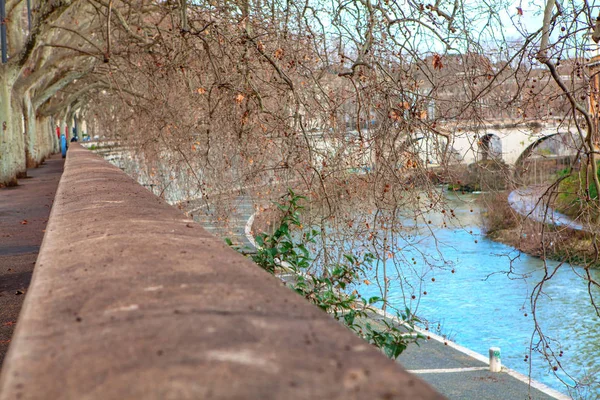 Tiber Břehu Řeky Římě — Stock fotografie