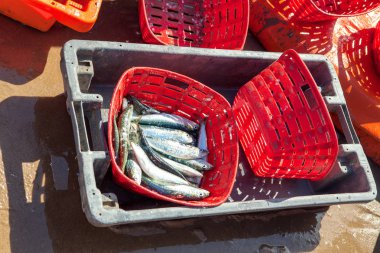 deniz kıyısında taze balık sepetleri 