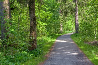 yürüyüş yolu ile yeşil park 