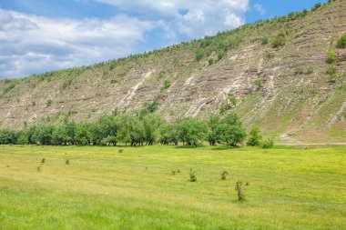 yeşil ağaçlar ve tepe ile alan