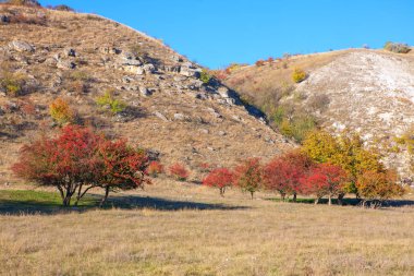 Renkli ağaçlar ile Amazing sonbahar manzara 