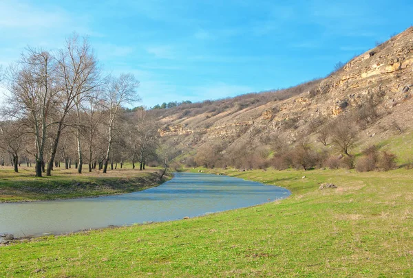 Просто Весняні Пейзажі Маленькою Річкою Зеленим Лугом — стокове фото