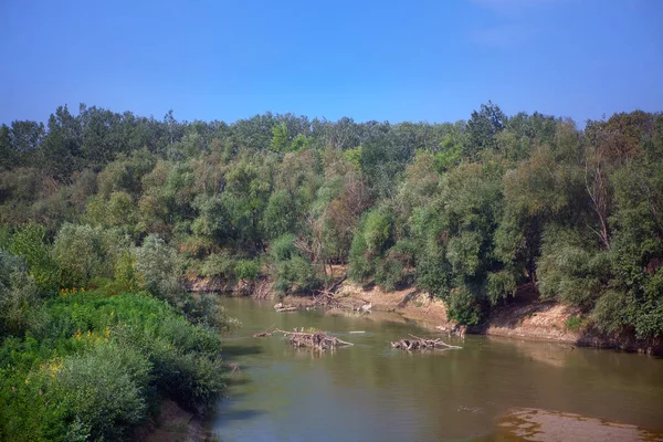 Naturaleza Verde Río Con Agua Clara — Foto de Stock