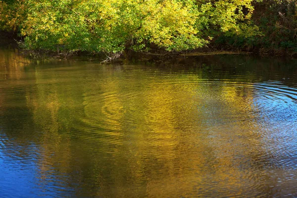 Осенняя Природа Отражается Озерной Воде — стоковое фото