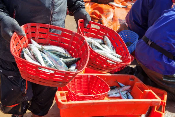 Rybacy Posiadający Kosze Świeżych Ryb — Zdjęcie stockowe