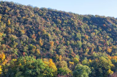 Sonbahar mevsiminde çok renkli doğal tepe 