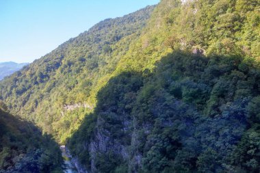 Ormanla kaplı yeşil dağın gölgesinde