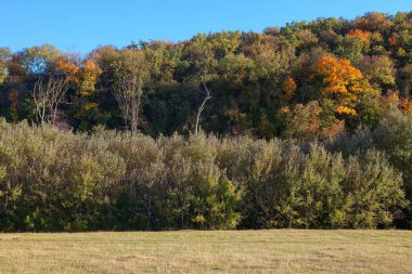 Sonbaharda renkli ağaçlı tepe 