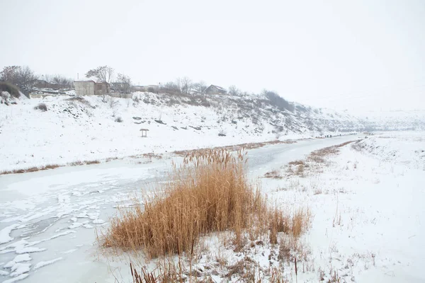 Сельские Зимние Пейзажи Сухими Растениями Замерзшем Озере — стоковое фото