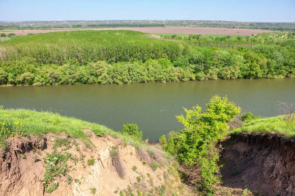 Vista Aérea Del Bosque Verde Río Que Fluye —  Fotos de Stock