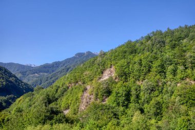 Yeşil dağ aralıklı manzara 