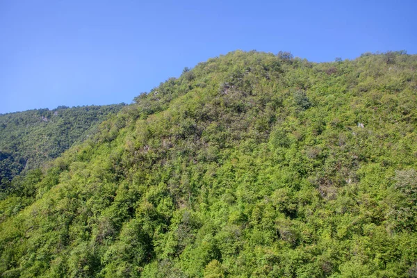 Pemandangan Alam Dengan Hutan Hijau Dan Gunung — Stok Foto