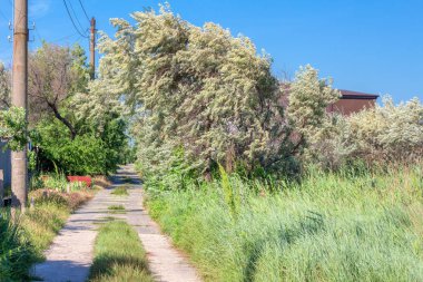 Kırsal bölgede yürüyüş yolu.