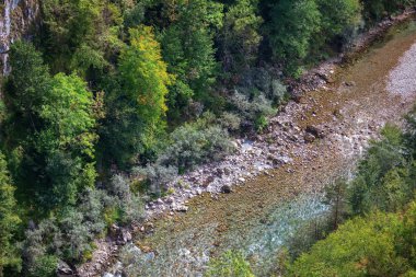 Dağ nehri, saydam su manzaralı.