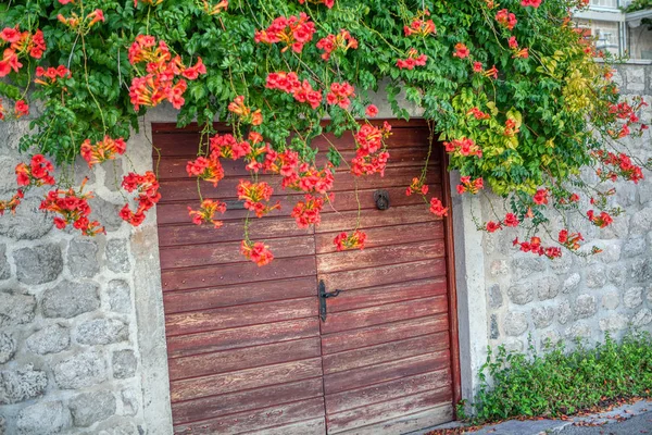 用鲜花装饰的木门 — 图库照片