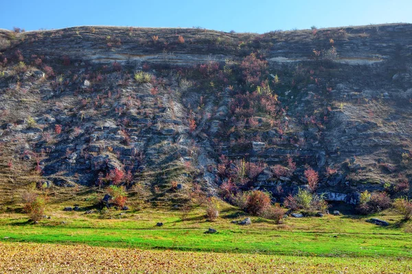 Colline Automne Prairie Verte — Photo