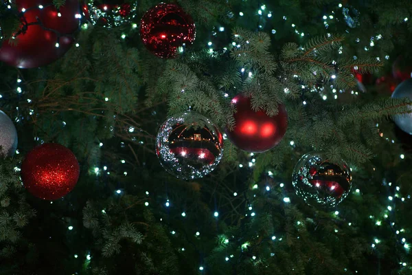 枞树为圣诞节装饰 — 图库照片