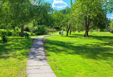 Yeşil çayırlarla yeşil parkta yürüyorum.