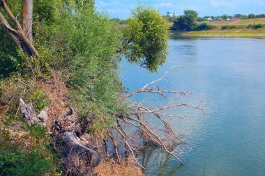 Nehir kıyısı heyelan ile sudaki dallar 