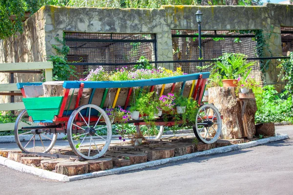 Süslü Çiçek Arabası Faytonlu Sokak Tasarımı — Stok fotoğraf