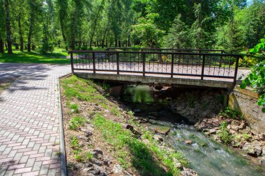 Parktaki derenin üzerindeki patika.