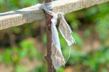 Tarım tesislerinin bağlantılarının ayrıntıları