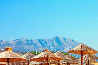 Egzotik güneş şemsiyelerinin üst görüntüsü 