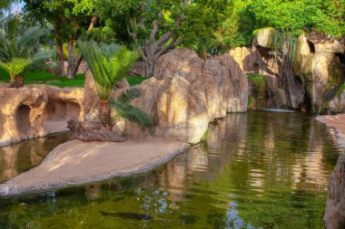 Şelaleli tropik bir park. Cennetteki gibi doğal bir yer