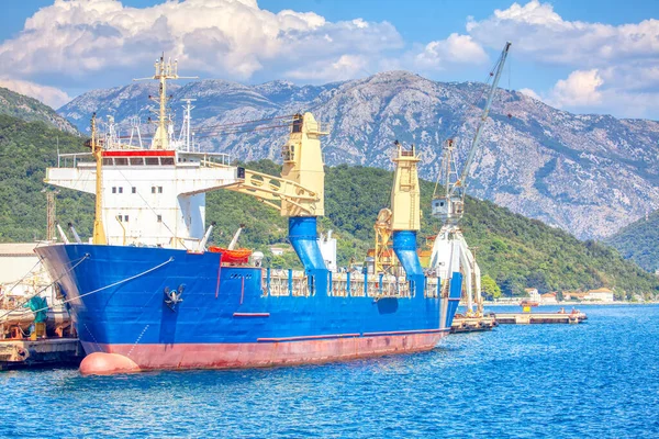 Moored Cargo Ship Harbour Cranes Commercial Port — Stock Photo, Image