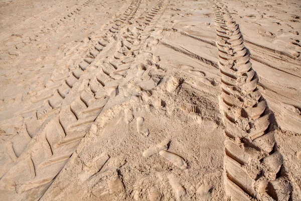 Tracks from a caterpillar tractor in the sand