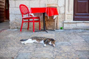 Kalede Uyuyan Tembel Kedi. Eski Kasabadaki Küçük Teras 