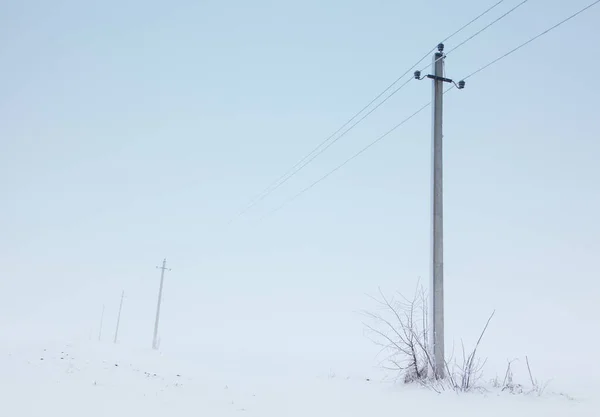 Pólos Elétricos Inverno Paisagem Nevada Com Nevoeiro Pela Manhã — Fotografia de Stock