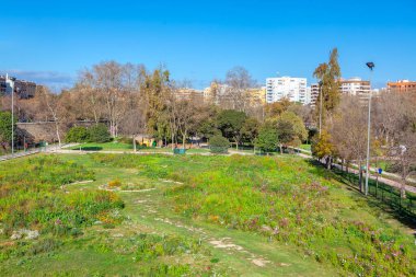Central Park ve Valencia 'daki su kanalı. Şehir parkında yürüyen ve koşan insanlar. 