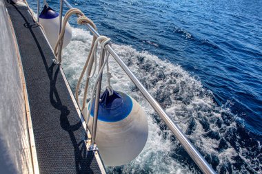 Bot Fenders ve Buoys. Geminin içinde. Denizden Seyahat