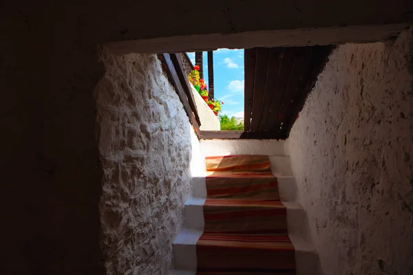 Sortie Cave Vin Traditionnelle Escaliers Couverts Tapis — Photo