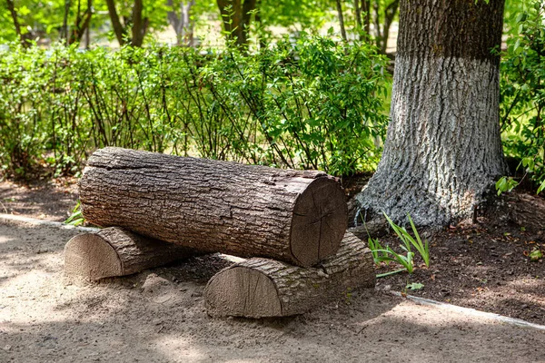 Скамейка Сделана Большого Бревна Экологический Зелёный Парк — стоковое фото