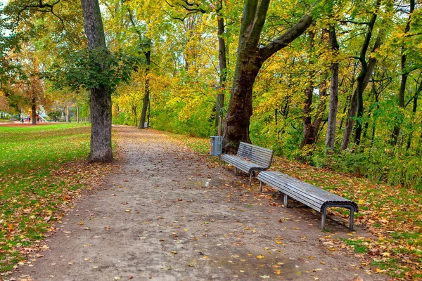 Bankları ve kuru yaprakları olan bir sonbahar parkı. Sonbahar yürüyüşü