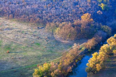 Sonbahar ağaçları manzaranın en üstünde. Nehirli cennet parkının sonbahar manzarası 